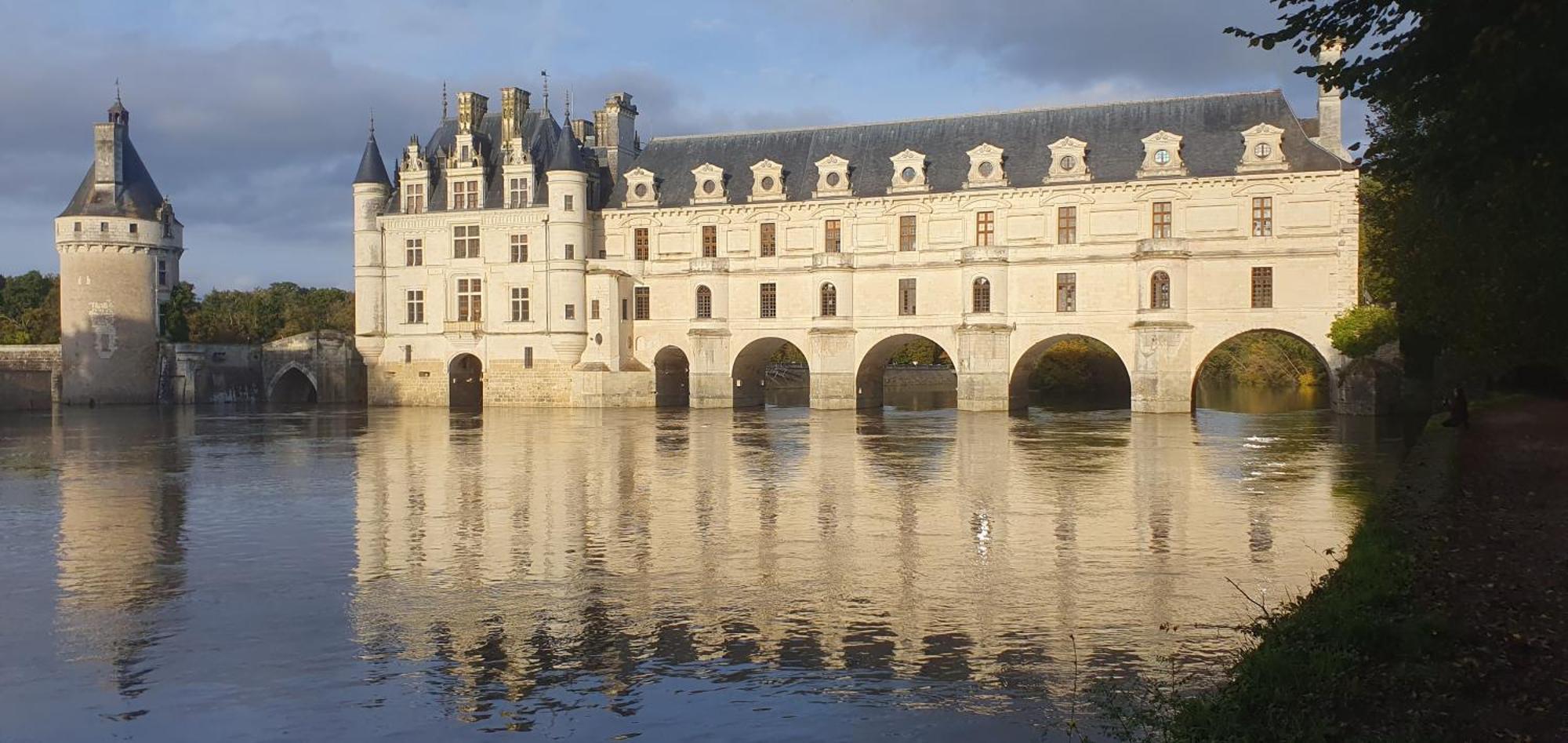 Aux Des Dames *