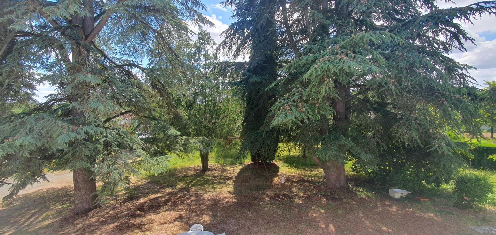 Aux Des Dames Appartement Chisseaux